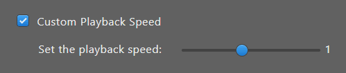 Custom Playback Speed Settings